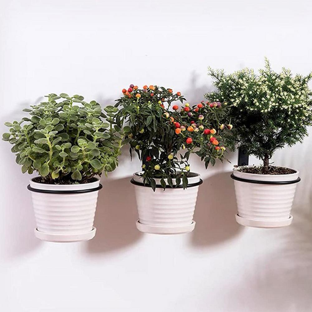 4/5/6/8 Inch Metalen Bloempot  - Screw Organizer Kit recensie en prijs